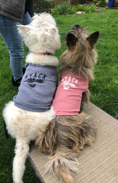 NYACK DOGGY TANK - GREY