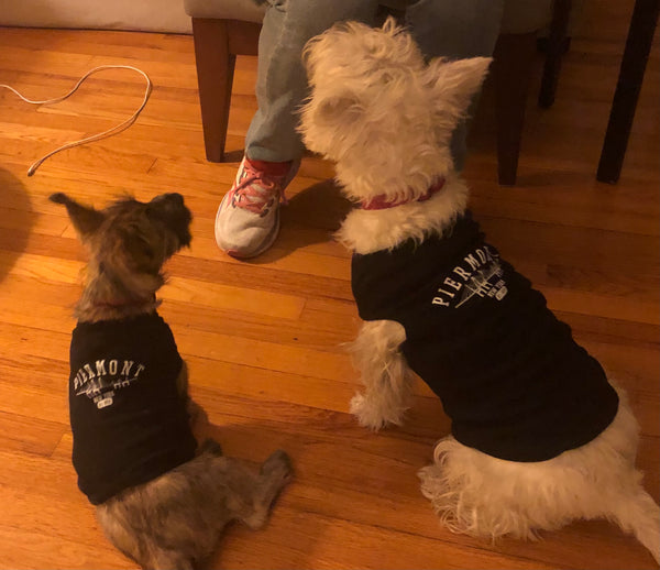 PIERMONT DOGGY TANK - BLACK